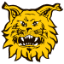 Tampereen Ilves