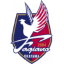 Fagiano Okayama